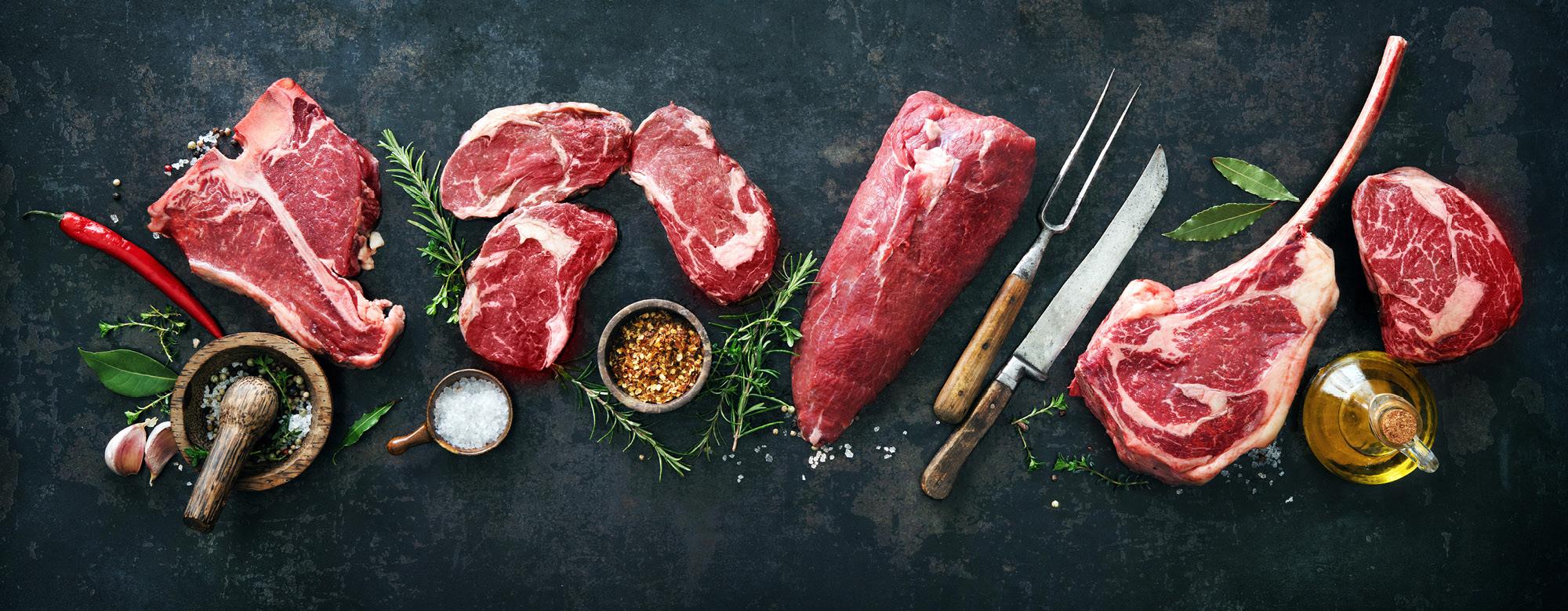 Primarna proizvodnja